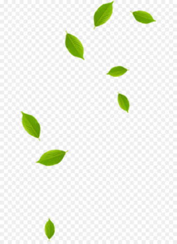 Leaf Green Pattern - leaf Leaf Green Pattern - leaf
