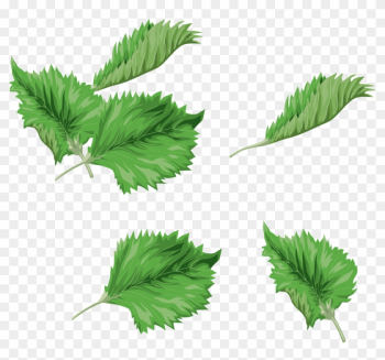 Leaf Green Watercolor Painting Clip Art - Leaf Green Watercolor Painting Clip Art Leaf Green Watercolor Painting Clip Art - Leaf Green Watercolor Painting Clip Art
