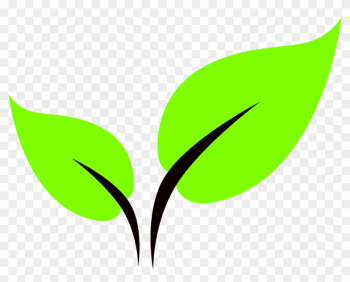 Leaf Icon - Leaf Icon Png Leaf Icon - Leaf Icon Png