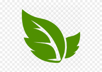 Leaf Icon - Leaf Icon Png