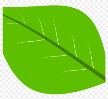 Leaf Images Clip Art Apple Leaf Clip Art Dromgce Top - Leaf Images Clip Art Apple Leaf Clip Art Dromgce Top