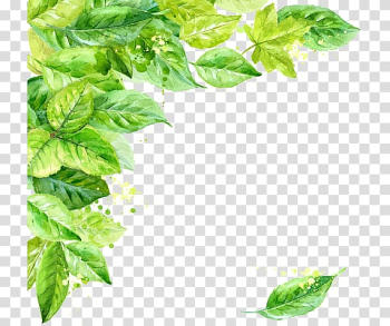 Leaf , Leaf Frame Background transparent background PNG clipart Leaf , Leaf Frame Background transparent background PNG clipart