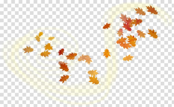Leaf , Leaf transparent background PNG clipart Leaf , Leaf transparent background PNG clipart