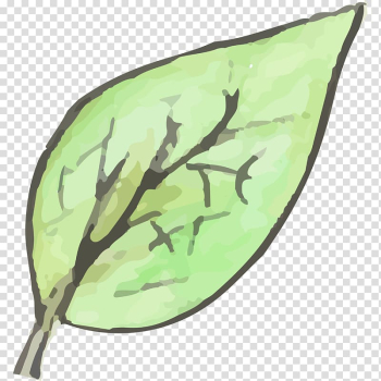 Leaf, leaf transparent background PNG clipart Leaf, leaf transparent background PNG clipart