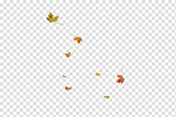Leaf , leaf transparent background PNG clipart Leaf , leaf transparent background PNG clipart