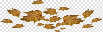 Leaf , Leaf transparent background PNG clipart Leaf , Leaf transparent background PNG clipart