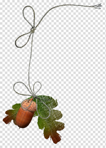 Leaf , Leaf transparent background PNG clipart Leaf , Leaf transparent background PNG clipart