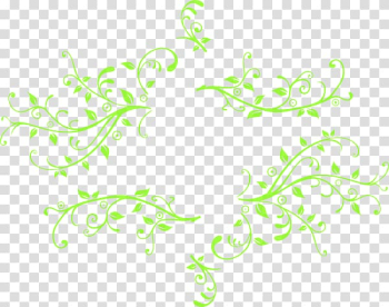 Leaf , Leaf transparent background PNG clipart Leaf , Leaf transparent background PNG clipart