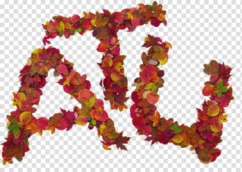 Leaf Letter Autumn , Leaf transparent background PNG clipart