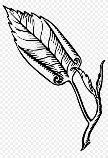 Leaf - Line Art Leaf - Line Art