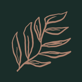 Leaf line art, aesthetic botanical | Free Photo - rawpixel Leaf line art, aesthetic botanical | Free Photo - rawpixel