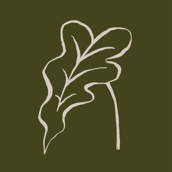 Leaf line art, aesthetic botanical | Free Photo - rawpixel Leaf line art, aesthetic botanical | Free Photo - rawpixel