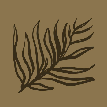Leaf line art, aesthetic botanical | Free Photo - rawpixel Leaf line art, aesthetic botanical | Free Photo - rawpixel