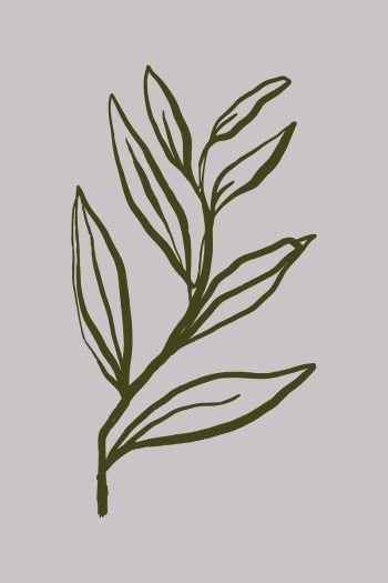 Leaf line art, aesthetic botanical | Free Photo - rawpixel Leaf line art, aesthetic botanical | Free Photo - rawpixel