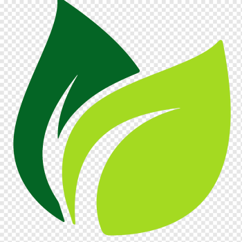 Leaf Logo, green leaves, green and teal leaf logo, text, maple Leaf, grass png
