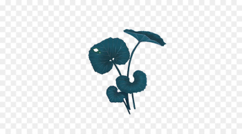 Leaf Lotus effect - Lotus leaf Leaf Lotus effect - Lotus leaf