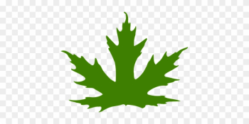 Leaf, Maple Leaf, Maple, Nature, Green - Maple Leaf Clip Art