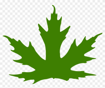 Leaf Maple Leaf Maple Nature Png Image - Maple Leaf Clip Art