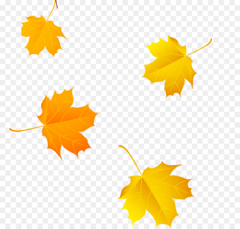 Leaf, Maple, Maple Leaf PNG Leaf, Maple, Maple Leaf PNG