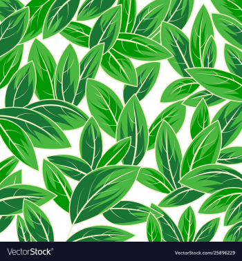 Leaf nature scene vector image