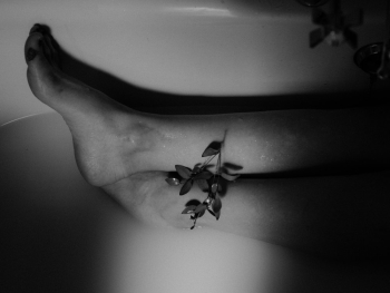 Leaf on Feet Leaf on Feet