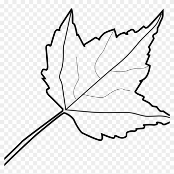 Leaf Outline Fall Leaf Outline 7680 Animations - Outline Image Of Leaf