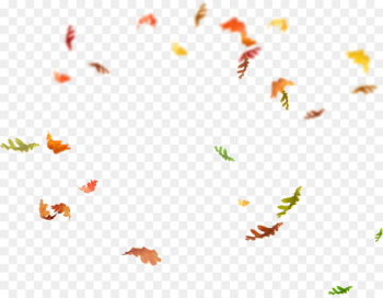 Leaf Overlay - falling Leaf Overlay - falling