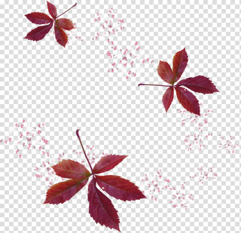 Leaf Painter Autumn, autumn leaves transparent background PNG clipart