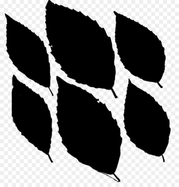 Leaf Pattern Font Line Silhouette - Leaf Pattern Font Line Silhouette -