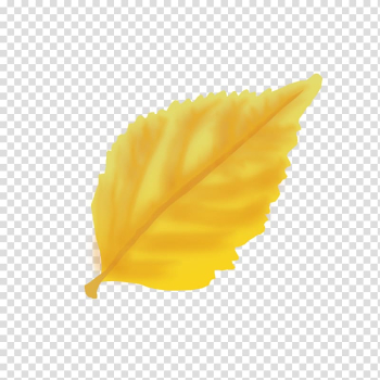 Leaf Petal, autumn transparent background PNG clipart Leaf Petal, autumn transparent background PNG clipart
