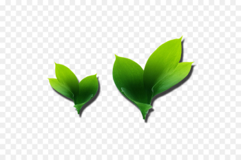 Leaf Petal - leaf Leaf Petal - leaf