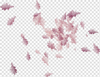 Leaf Petal, Leaf transparent background PNG clipart