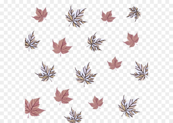 leaf plant leaf plant