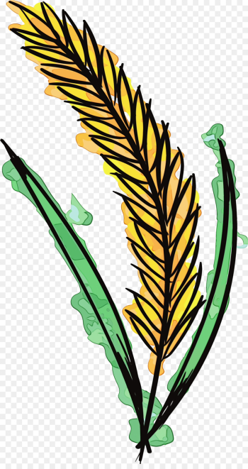 leaf plant clip art flower vascular plant leaf plant clip art flower vascular plant
