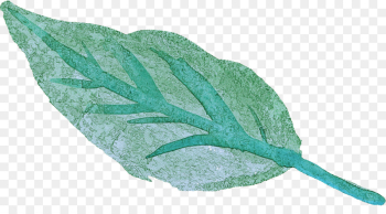 leaf plant flower leaf plant flower