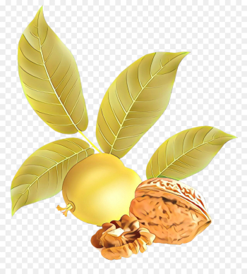 leaf plant flower tree flowering plant leaf plant flower tree flowering plant
