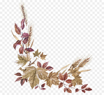 leaf plant flower twig leaf plant flower twig