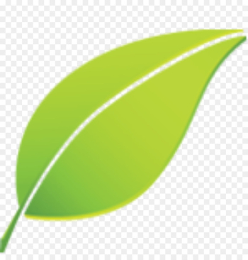 Leaf Plant - Leaf Leaf Plant - Leaf