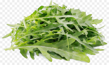 leaf plant leaf vegetable flower vegetable leaf plant leaf vegetable flower vegetable