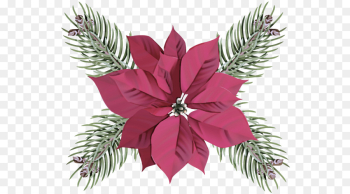 leaf plant pink vascular plant flower leaf plant pink vascular plant flower