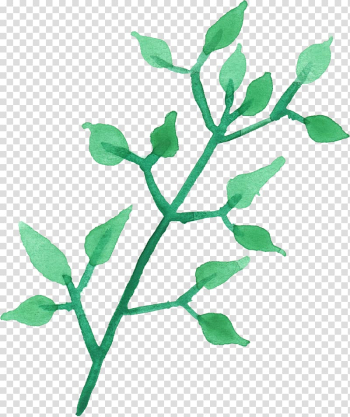 Leaf Plant stem Branch Watercolor painting, watercolor leaves transparent background PNG clipart