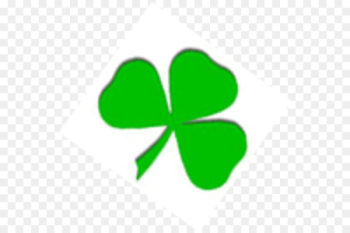 Leaf Plant stem Petal Shamrock - clover Leaf Plant stem Petal Shamrock - clover