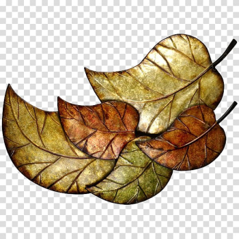 Leaf RGB color model, Leaf transparent background PNG clipart Leaf RGB color model, Leaf transparent background PNG clipart