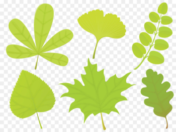 Leaf shape Leaf shape Encapsulated PostScript - BAY LEAVES Leaf shape Leaf shape Encapsulated PostScript - BAY LEAVES