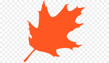 Leaf, Silhouette, Tree, Orange PNG Leaf, Silhouette, Tree, Orange PNG