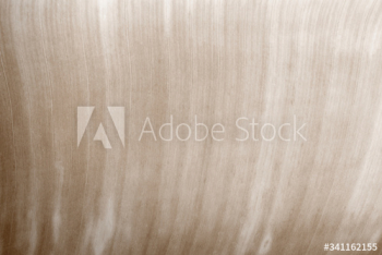 Leaf texture background Leaf texture background