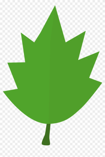 Leaf Tree Autumn Green Garden Png Image - Hojas De Otoño Verde Leaf Tree Autumn Green Garden Png Image - Hojas De Otoño Verde