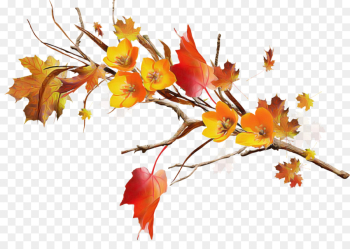 leaf tree branch plant flower leaf tree branch plant flower