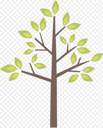 leaf tree branch plant plant stem leaf tree branch plant plant stem