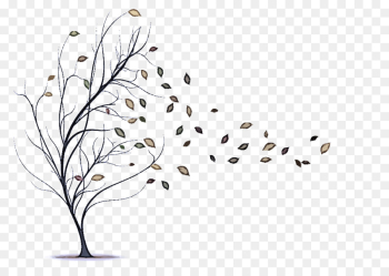 leaf tree branch plant twig leaf tree branch plant twig
